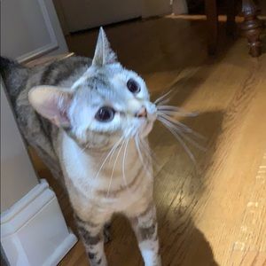 Meet your Posher, Megan